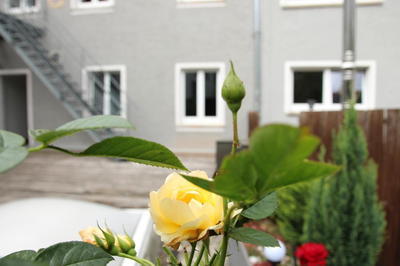 Apartment Wjh Apartmentvermietung